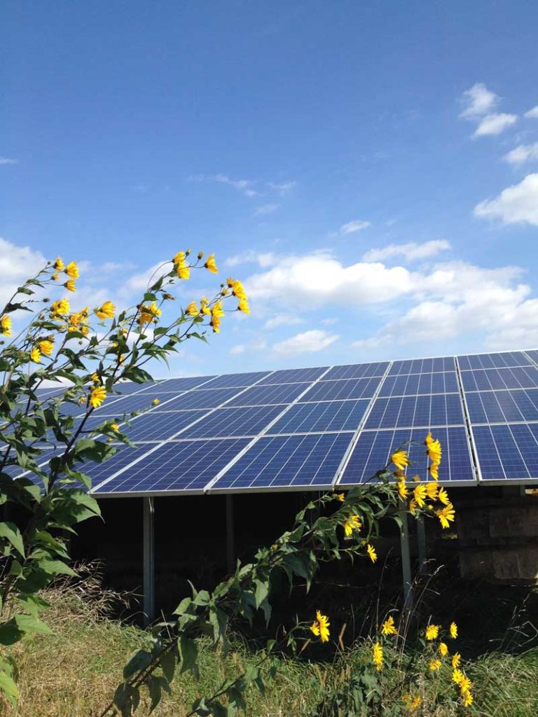 PV-Anlage Strem Südburgenland | Wagenhofer Erneuerbare Energien-Ökostrom | (c) Patrick Wagenhofer