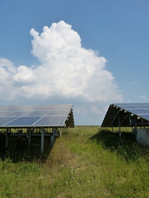 PV-Anlage Strem Südburgenland | Wagenhofer Erneuerbare Energien-mit Ökostrom energieunabhängiger | (c) Patrick Wagenhofer